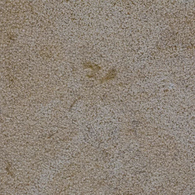 Taza Beige