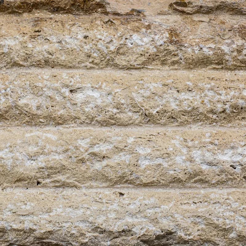Volubilis Façade